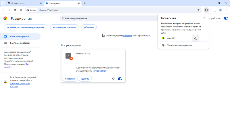 Файл:Закрепить расширение в панель.png